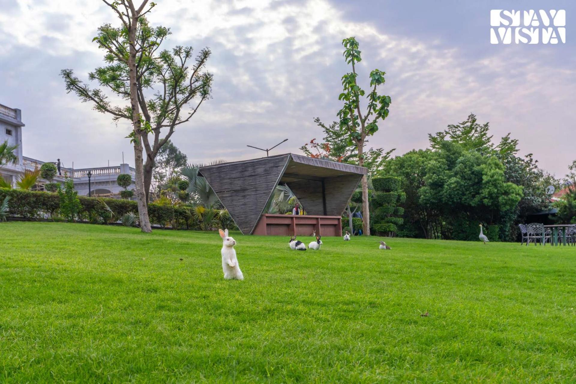Stayvista At Maple Farms With Pool, Bbq & Bonfire Sohna Exterior photo